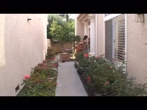 Rayveness - Video #4436