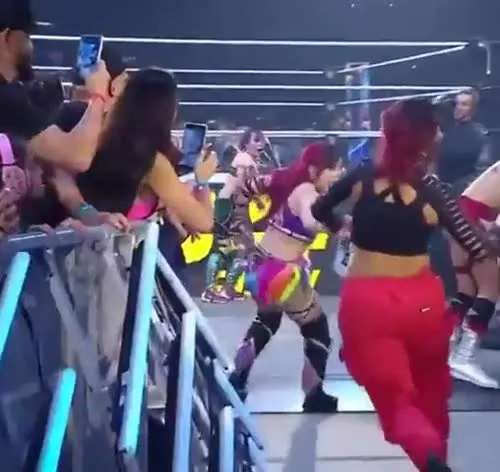 WWE Bayley / Davina Rose / Pamela Rose Martinez - Video