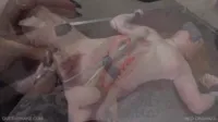 Queensnake / queensnakebdsm - Red organza - Ruby and Jessica - September 28th 2019