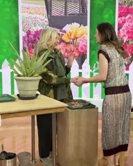 Michelle Monaghan - Video #194463
