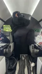 Bebe Rexha - Video #327580