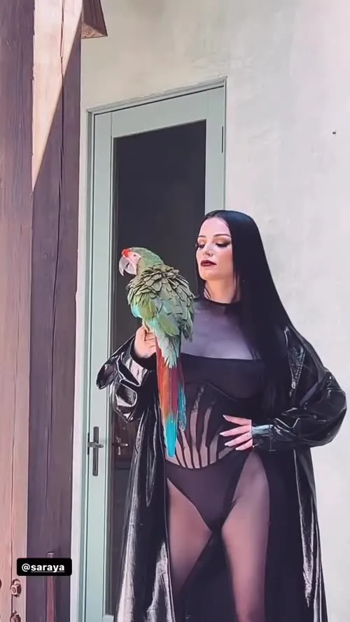 WWE's Paige / Saraya Bevis - SaveIG App