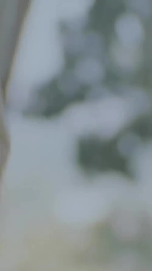 Miley Cyrus - 3083238961460801817