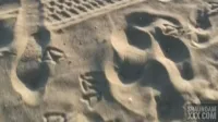 Shaundam | SHAUNDAMXXX - Sluts on the beach Vol 1 P1
