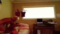 Shawna Lenee - Homemade