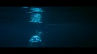 LustCinema / ErikaLust - Siren song - XConfessions Vol. 33