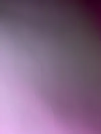 SnappyHappy - 2025-08-06 00-32-20 500