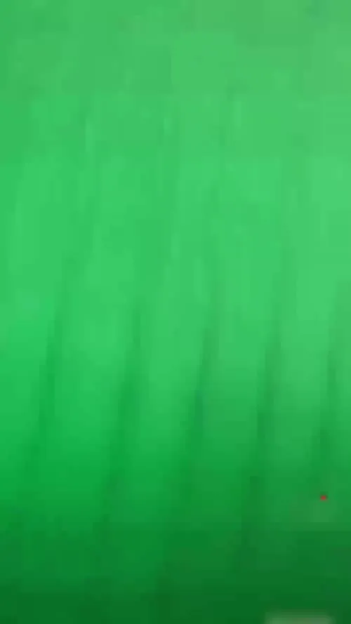 Sofia Wylie - Video
