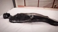 Reflective Desire - Squirm № 2