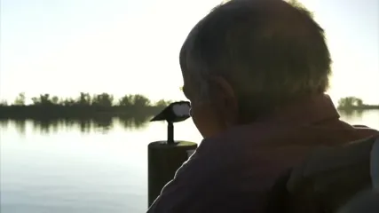 Avaryana Rose / Avaryana.com - Video #230023