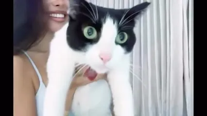 Madison Beer - Video #387134