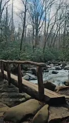 Lena Kross - Video