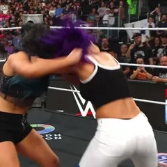 WWE Bayley / Davina Rose / Pamela Rose Martinez - Video #415940
