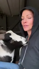 Tricia Helfer - TH Goat 5