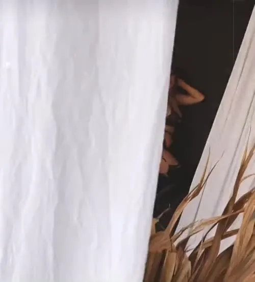 Cassie Lee/Jess McKay (Peyton Royce/Billie Kay) - Video