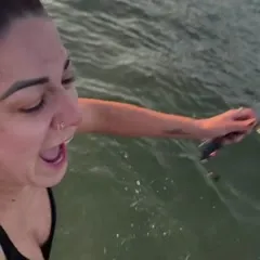 WWE Bayley / Davina Rose / Pamela Rose Martinez - Video