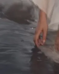 Charli XCX - Video #378488