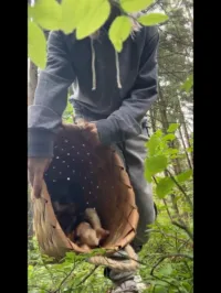 honey_sunshine - Video