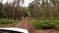 Nicole Murkovski - Video #166395