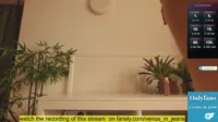 Monkeylina | twerkingbaby | venus_in_jeans - Venus in jeans