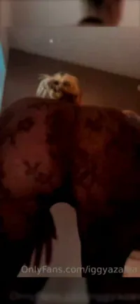 Iggy Azalea - Video