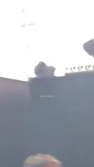 Charli XCX - Video #378479