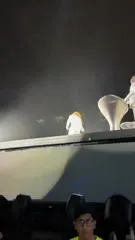 Shakira - Video #247297