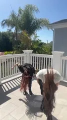 Courtney Hope - Video