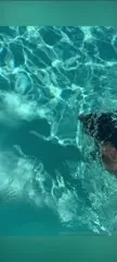 AEW Leila Grey - Video