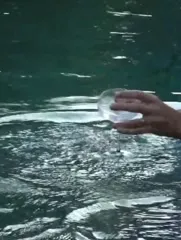 Gal Gadot - Video #360317