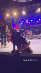 WWE GiGi Dolin / Priscilla Kelly - Video #350557
