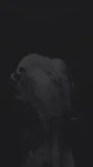 Taylor Momsen - Yneagacxip4