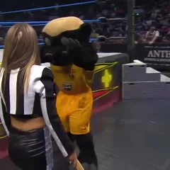 Impact Wrestling Alisha Edwards - Video #296858