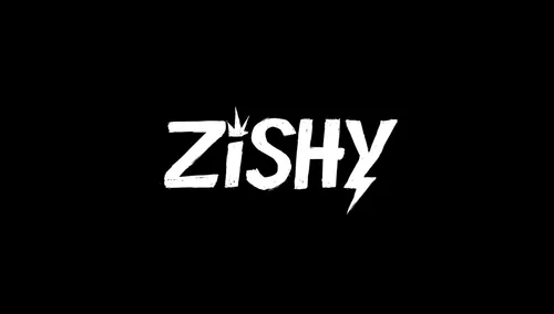 Zishy
