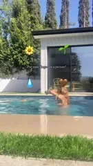 Teresa Palmer - Video